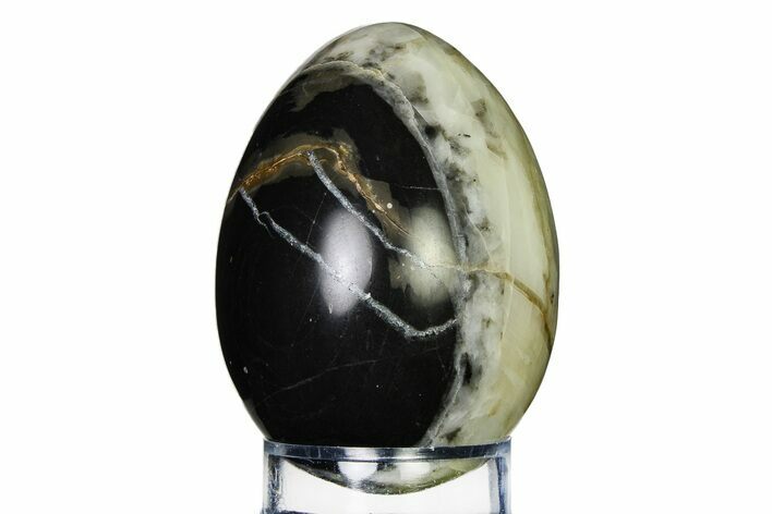 Polished Black and White Marble/Calcite Egg - Utah #322432